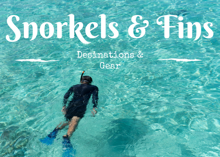 Snorkels & Fins Dive Gear & Guides
